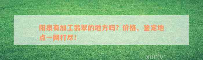 阳泉有加工翡翠的地方吗？价格、鉴定地点一网打尽！