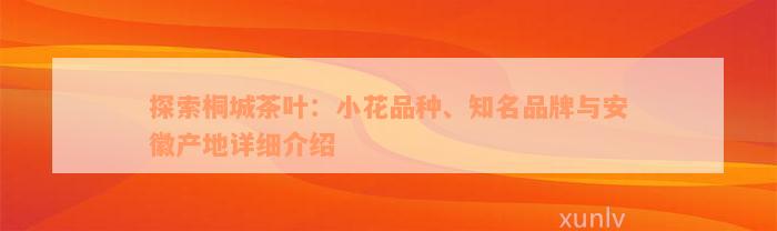 探索桐城茶叶：小花品种、知名品牌与安徽产地详细介绍