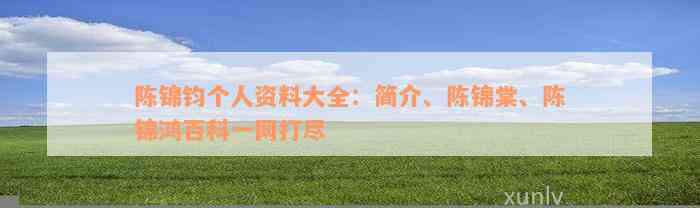 陈锦钧个人资料大全：简介、陈锦棠、陈锦鸿百科一网打尽