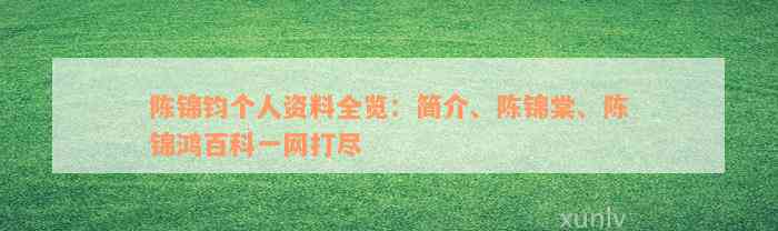 陈锦钧个人资料全览：简介、陈锦棠、陈锦鸿百科一网打尽