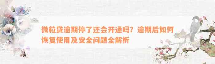 微粒贷逾期停了还会开通吗？逾期后如何恢复使用及安全问题全解析