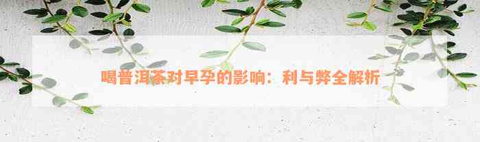 喝普洱茶对早孕的影响：利与弊全解析