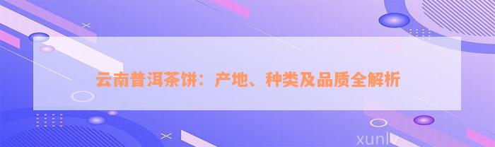 云南普洱茶饼：产地、种类及品质全解析