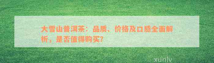 大雪山普洱茶：品质、价格及口感全面解析，是否值得购买？