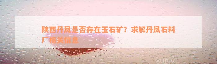 陕西丹凤是否存在玉石矿？求解丹凤石料厂相关信息