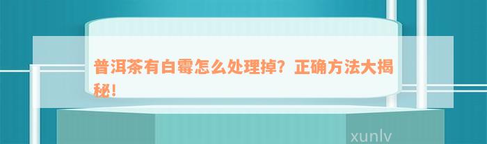 普洱茶有白霉怎么处理掉？正确方法大揭秘！