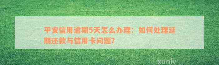 平安信用逾期5天怎么办理：如何处理延期还款与信用卡问题？