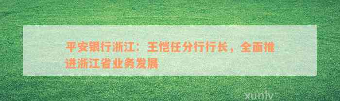 平安银行浙江：王恺任分行行长，全面推进浙江省业务发展