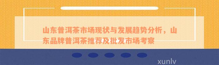 山东普洱茶市场现状与发展趋势分析，山东品牌普洱茶推荐及批发市场考察