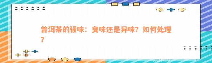 普洱茶的骚味：臭味还是异味？如何处理？