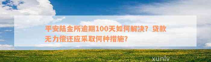 平安陆金所逾期100天如何解决？贷款无力偿还应采取何种措施？