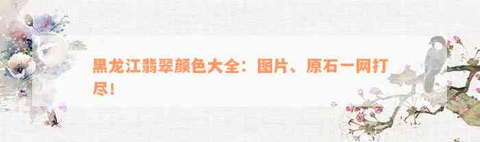 黑龙江翡翠颜色大全：图片、原石一网打尽！