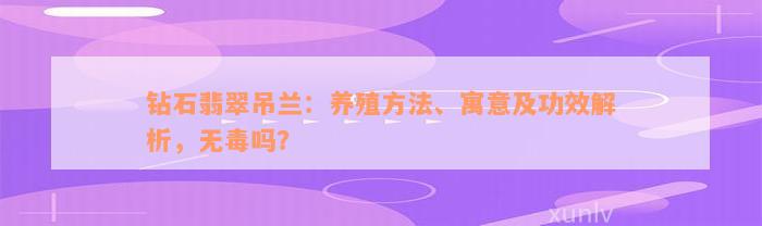 钻石翡翠吊兰：养殖方法、寓意及功效解析，无毒吗？