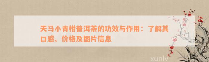 天马小青柑普洱茶的功效与作用：了解其口感、价格及图片信息