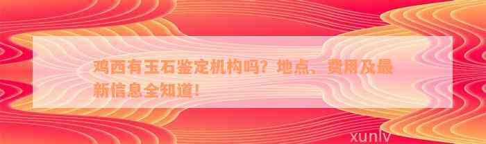 鸡西有玉石鉴定机构吗？地点、费用及最新信息全知道！