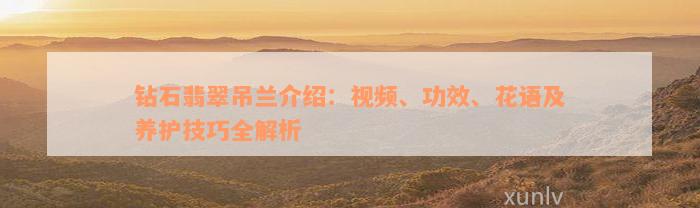 钻石翡翠吊兰介绍：视频、功效、花语及养护技巧全解析