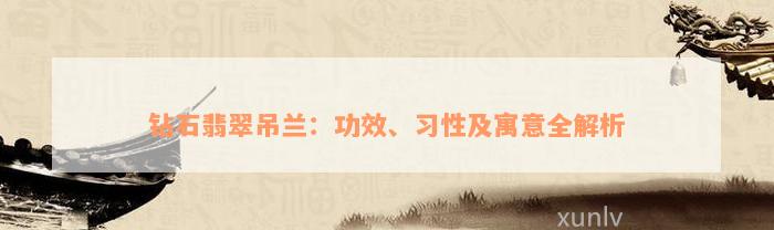 钻石翡翠吊兰：功效、习性及寓意全解析