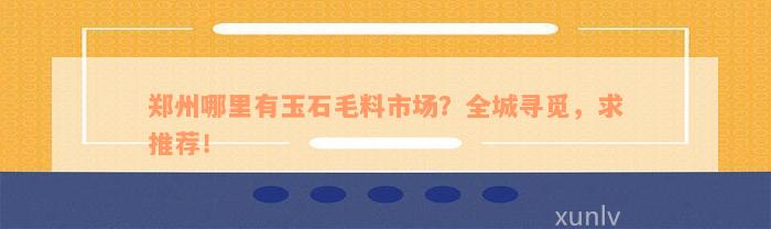 郑州哪里有玉石毛料市场？全城寻觅，求推荐！