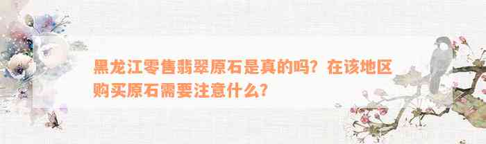 黑龙江零售翡翠原石是真的吗？在该地区购买原石需要注意什么？