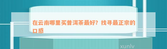 在云南哪里买普洱茶最好？找寻最正宗的口感