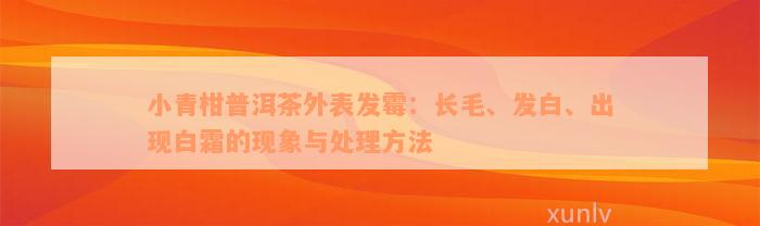 小青柑普洱茶外表发霉：长毛、发白、出现白霜的现象与处理方法