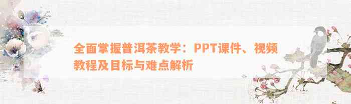 全面掌握普洱茶教学：PPT课件、视频教程及目标与难点解析