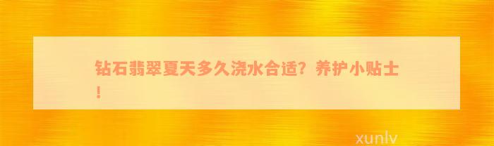 钻石翡翠夏天多久浇水合适？养护小贴士！