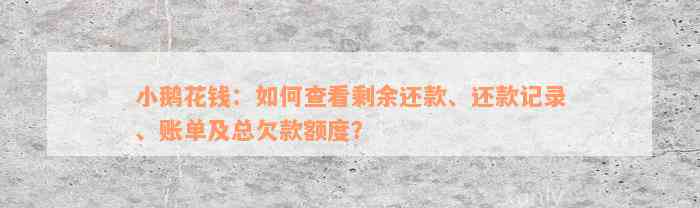 小鹅花钱：如何查看剩余还款、还款记录、账单及总欠款额度？