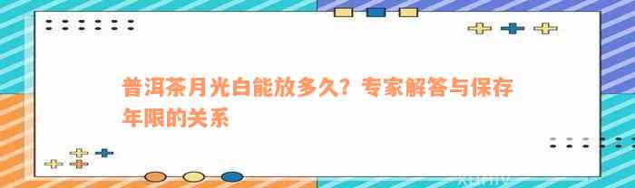 普洱茶月光白能放多久？专家解答与保存年限的关系