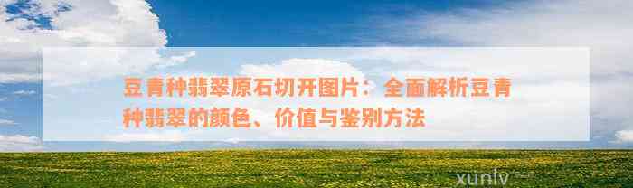 豆青种翡翠原石切开图片：全面解析豆青种翡翠的颜色、价值与鉴别方法