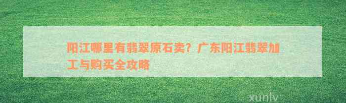 阳江哪里有翡翠原石卖？广东阳江翡翠加工与购买全攻略