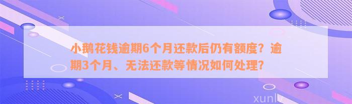 小鹅花钱逾期6个月还款后仍有额度？逾期3个月、无法还款等情况如何处理？