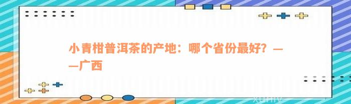 小青柑普洱茶的产地：哪个省份最好？——广西