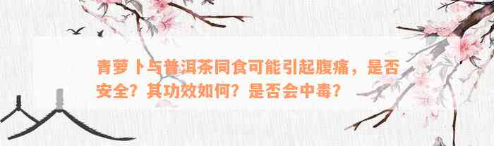 青萝卜与普洱茶同食可能引起腹痛，是否安全？其功效如何？是否会中毒？