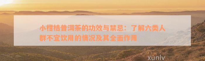 小柑桔普洱茶的功效与禁忌：了解六类人群不宜饮用的情况及其全面作用