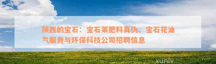 陕西的宝石：宝石莱肥料真伪、宝石花油气服务与环保科技公司招聘信息