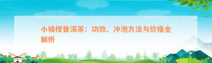 小橘柑普洱茶：功效、冲泡方法与价格全解析