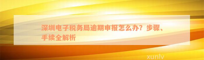 深圳电子税务局逾期申报怎么办？步骤、手续全解析