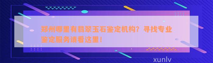 郑州哪里有翡翠玉石鉴定机构？寻找专业鉴定服务请看这里！