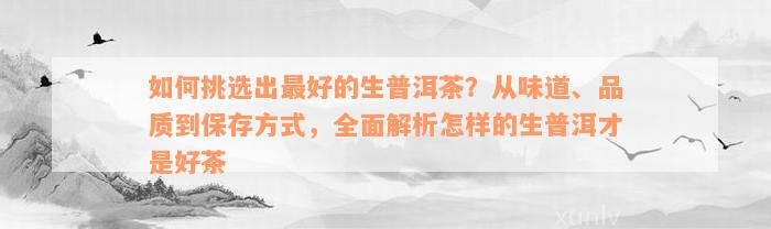 如何挑选出最好的生普洱茶？从味道、品质到保存方式，全面解析怎样的生普洱才是好茶