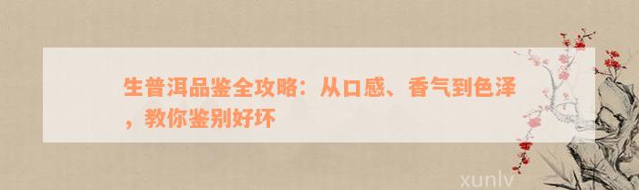 生普洱品鉴全攻略：从口感、香气到色泽，教你鉴别好坏