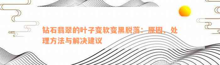 钻石翡翠的叶子变软变黑脱落：原因、处理方法与解决建议