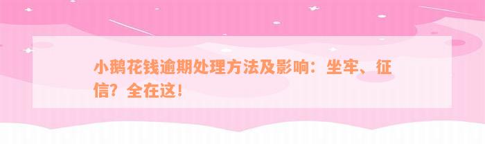 小鹅花钱逾期处理方法及影响：坐牢、征信？全在这！