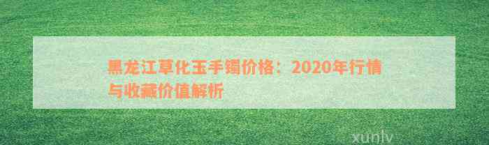 黑龙江草化玉手镯价格：2020年行情与收藏价值解析