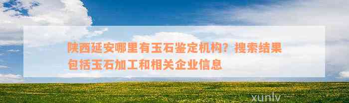 陕西延安哪里有玉石鉴定机构？搜索结果包括玉石加工和相关企业信息