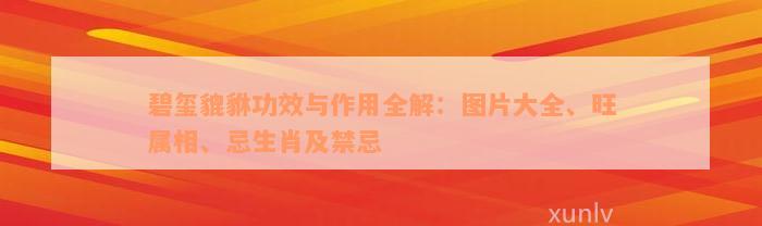 碧玺貔貅功效与作用全解：图片大全、旺属相、忌生肖及禁忌