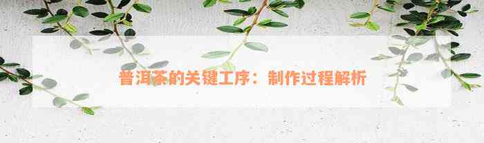 普洱茶的关键工序：制作过程解析