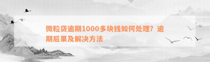 微粒贷逾期1000多块钱如何处理？逾期后果及解决方法