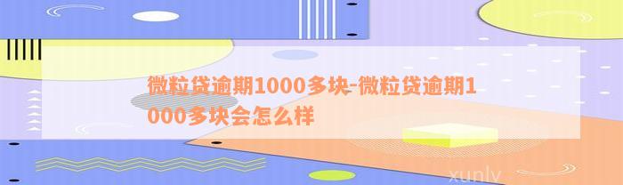 微粒贷逾期1000多块-微粒贷逾期1000多块会怎么样