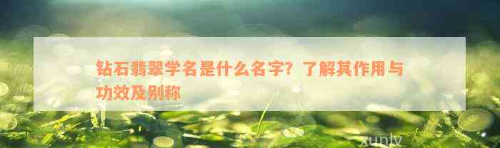 钻石翡翠学名是什么名字？了解其作用与功效及别称